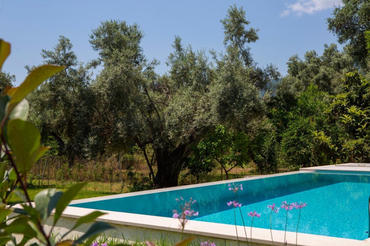 Averto Villas With Private Pool ニドリ エクステリア 写真